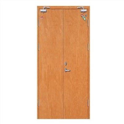 BS Fire Rated Wooden Iron Door
