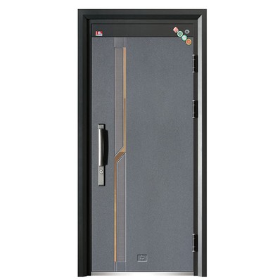 Stainless Steel Metal Iron Door